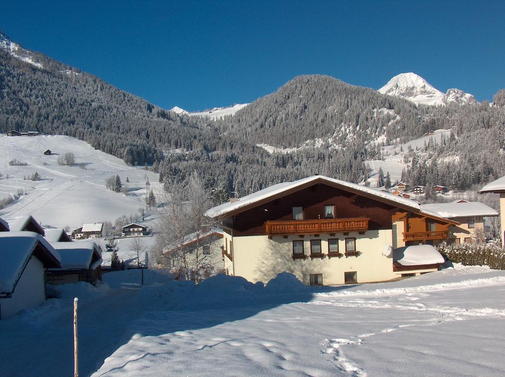 Ferienwohnung Haus Kraft Sankt Martin am Tennengebirge Exterior foto